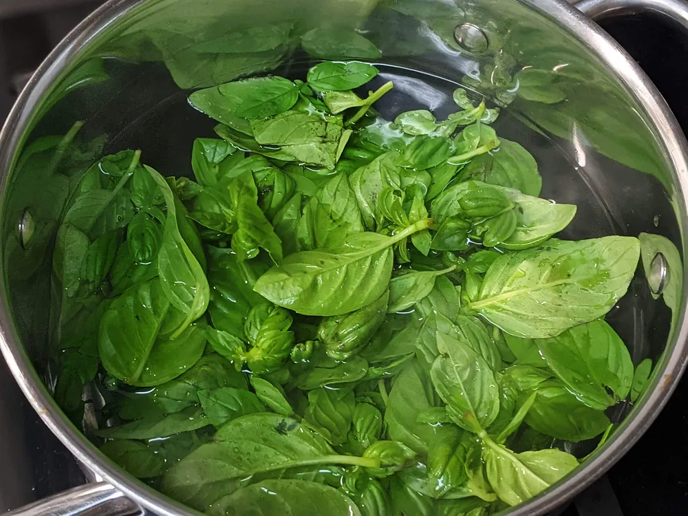 Hojas de albahaca en la olla.