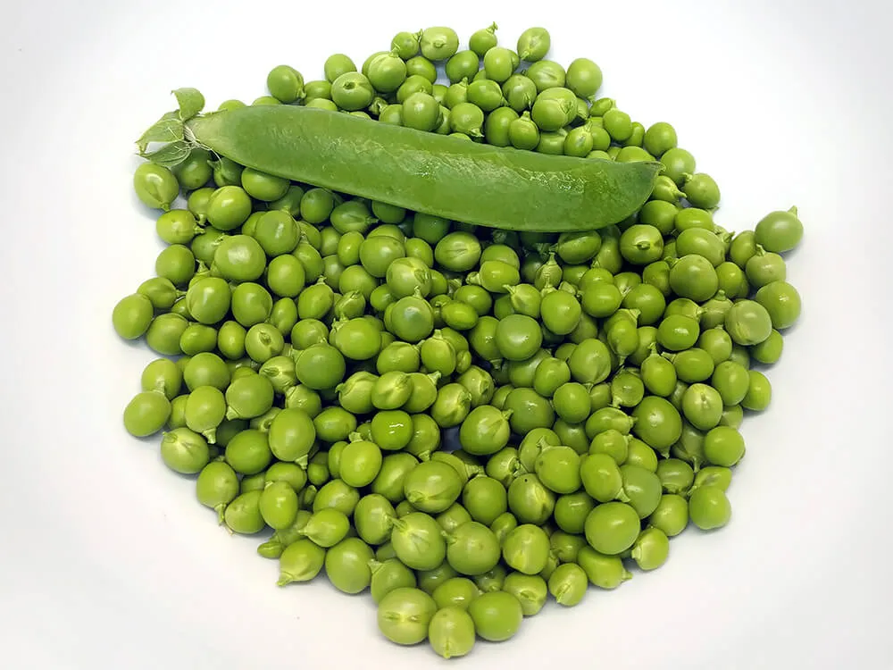 Guisantes frescos desgranados