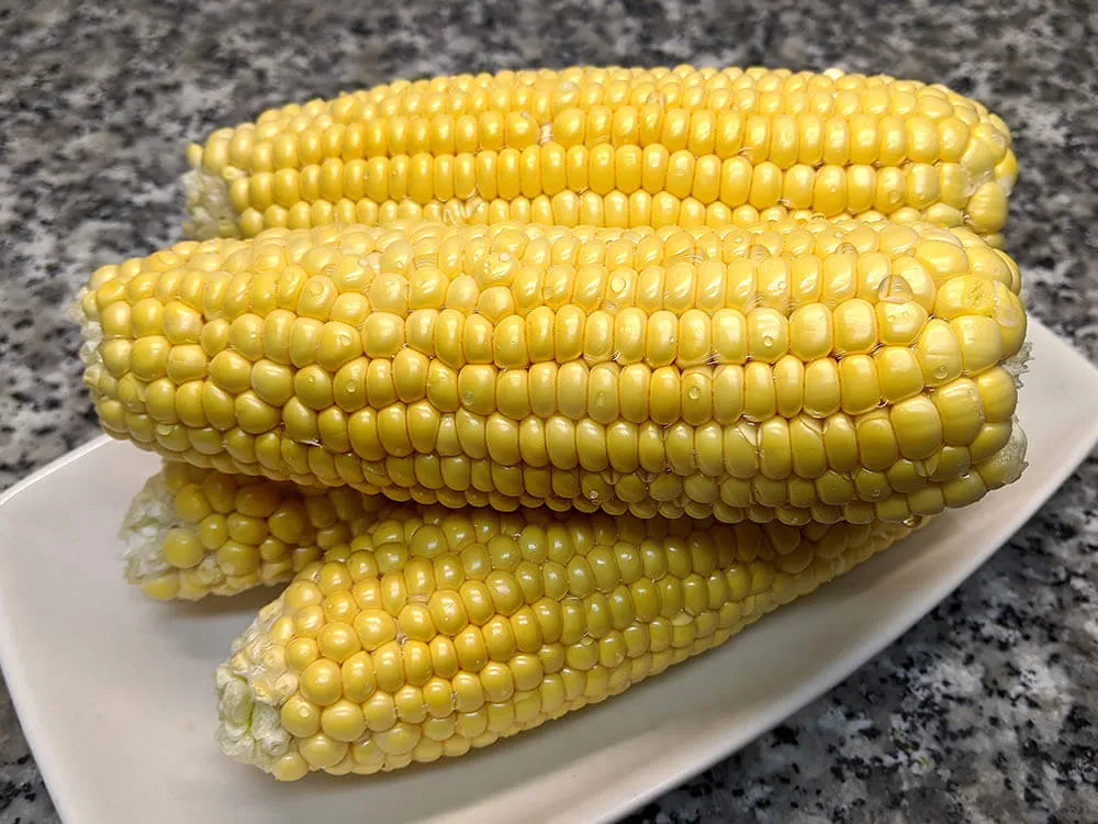 Mazorcas de maíz crudas.