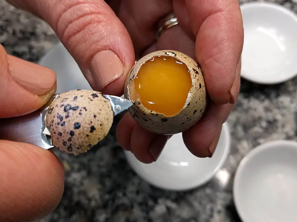 Huevos de codorniz