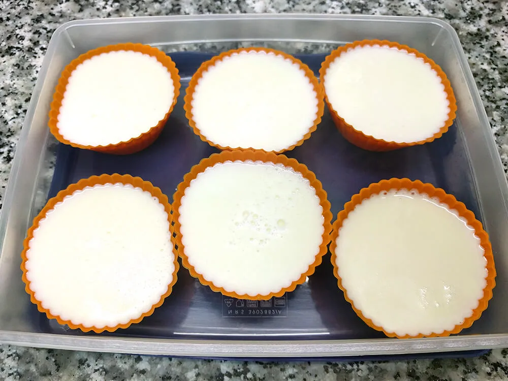 Moldes individuales rellenos de panna cotta