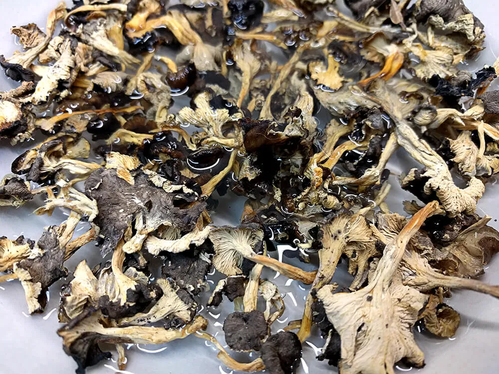 Rebozuelos secos en remojo