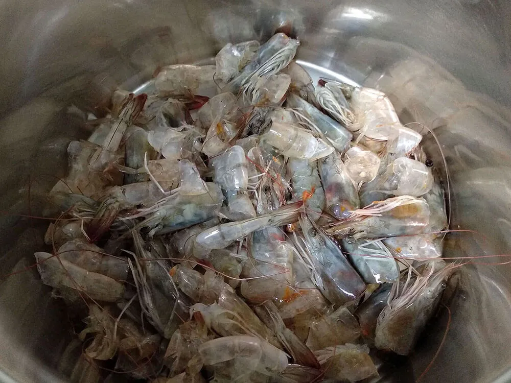 Cáscaras de langostinos crudos en olla.